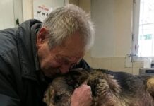 Starac je doveo svog psa da ga uspavaju jer nije mogao platiti liječenje… Ali veterinar je učinio nešto zbog čega su svi u klinici završili u suzama Starac je doveo svog psa da ga uspavaju jer nije mogao platiti liječenje… Ali veterinar je učinio nešto zbog čega su svi u klinici završili u suzama