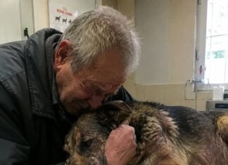Starac je doveo svog psa da ga uspavaju jer nije mogao platiti liječenje… Ali veterinar je učinio nešto zbog čega su svi u klinici završili u suzama Starac je doveo svog psa da ga uspavaju jer nije mogao platiti liječenje… Ali veterinar je učinio nešto zbog čega su svi u klinici završili u suzama