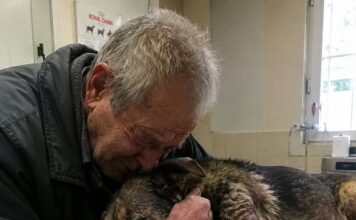 Starac je doveo svog psa da ga uspavaju jer nije mogao platiti liječenje… Ali veterinar je učinio nešto zbog čega su svi u klinici završili u suzama Starac je doveo svog psa da ga uspavaju jer nije mogao platiti liječenje… Ali veterinar je učinio nešto zbog čega su svi u klinici završili u suzama