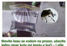 Stavite kesu sa vodom na prozor, ubacite jednu stvar koju svi imaju u kući – i više nikada nećete videti muhu Stavite kesu sa vodom na prozor, ubacite jednu stvar koju svi imaju u kući – i više nikada nećete videti muhu