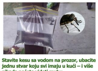 Stavite kesu sa vodom na prozor, ubacite jednu stvar koju svi imaju u kući – i više nikada nećete videti muhu Stavite kesu sa vodom na prozor, ubacite jednu stvar koju svi imaju u kući – i više nikada nećete videti muhu