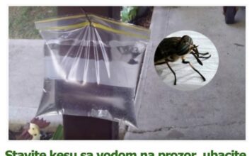 Stavite kesu sa vodom na prozor, ubacite jednu stvar koju svi imaju u kući – i više nikada nećete videti muhu Stavite kesu sa vodom na prozor, ubacite jednu stvar koju svi imaju u kući – i više nikada nećete videti muhu