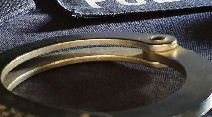 Sumnja se da su “žmirili” na mito: Na granici BiH i Srbije uhapšena 23 policajca i četiri carinika Sumnja se da su “žmirili” na mito: Na granici BiH i Srbije uhapšena 23 policajca i četiri carinika