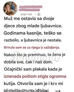 Tiha snaga: nepravda kroz oči saosećanja Tiha snaga: nepravda kroz oči saosećanja