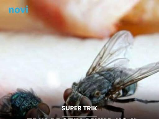 Trik protiv muha koji koriste mesari: Okačite ovo na ulaz i zaboravite na zujanje u kuhinji Trik protiv muha koji koriste mesari: Okačite ovo na ulaz i zaboravite na zujanje u kuhinji