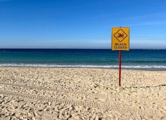 Užas na popularnoj plaži u regiji: Ženu napao morski pas dok je plivala, u kritičnom je stanju Užas na popularnoj plaži u regiji: Ženu napao morski pas dok je plivala, u kritičnom je stanju