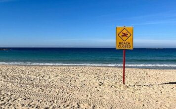 Užas na popularnoj plaži u regiji: Ženu napao morski pas dok je plivala, u kritičnom je stanju Užas na popularnoj plaži u regiji: Ženu napao morski pas dok je plivala, u kritičnom je stanju