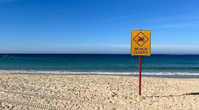 Užas na popularnoj plaži u regiji: Ženu napao morski pas dok je plivala, u kritičnom je stanju Užas na popularnoj plaži u regiji: Ženu napao morski pas dok je plivala, u kritičnom je stanju