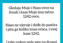 VIC OD KOJEG ĆETE PLAKATI OD SMIJEHA: Gledaju Mujo i Haso ovce… VIC OD KOJEG ĆETE PLAKATI OD SMIJEHA: Gledaju Mujo i Haso ovce…