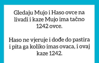 VIC OD KOJEG ĆETE PLAKATI OD SMIJEHA: Gledaju Mujo i Haso ovce… VIC OD KOJEG ĆETE PLAKATI OD SMIJEHA: Gledaju Mujo i Haso ovce…