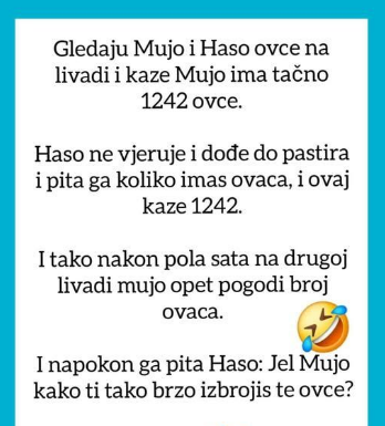 VIC OD KOJEG ĆETE PLAKATI OD SMIJEHA: Gledaju Mujo i Haso ovce… VIC OD KOJEG ĆETE PLAKATI OD SMIJEHA: Gledaju Mujo i Haso ovce…
