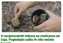 9 nevjerovatnih trikova sa vrećicama od čaja. Pogledajte zašto ih više nećete bacati! 9 nevjerovatnih trikova sa vrećicama od čaja. Pogledajte zašto ih više nećete bacati!