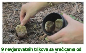 9 nevjerovatnih trikova sa vrećicama od čaja. Pogledajte zašto ih više nećete bacati! 9 nevjerovatnih trikova sa vrećicama od čaja. Pogledajte zašto ih više nećete bacati!