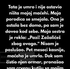 Dobrota koja menja sve: Priča o maćehi, nasleđu i neprocenjivim porodičnim vrednostima Dobrota koja menja sve: Priča o maćehi, nasleđu i neprocenjivim porodičnim vrednostima