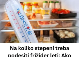 Na koliko stepeni treba podesiti frižider leti: Ako pređete OVAJ broj, hrana će vam propasti za dan Na koliko stepeni treba podesiti frižider leti: Ako pređete OVAJ broj, hrana će vam propasti za dan