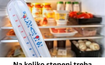 Na koliko stepeni treba podesiti frižider leti: Ako pređete OVAJ broj, hrana će vam propasti za dan Na koliko stepeni treba podesiti frižider leti: Ako pređete OVAJ broj, hrana će vam propasti za dan