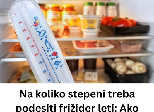 Na koliko stepeni treba podesiti frižider leti: Ako pređete OVAJ broj, hrana će vam propasti za dan Na koliko stepeni treba podesiti frižider leti: Ako pređete OVAJ broj, hrana će vam propasti za dan