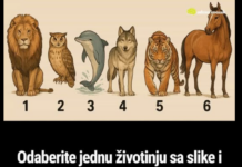 Odaberite jednu životinju sa slike i otkrijte šta drugi misle kad se spomene vaše ime Odaberite jednu životinju sa slike i otkrijte šta drugi misle kad se spomene vaše ime