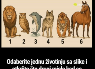 Odaberite jednu životinju sa slike i otkrijte šta drugi misle kad se spomene vaše ime Odaberite jednu životinju sa slike i otkrijte šta drugi misle kad se spomene vaše ime