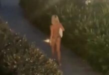 “ONA JE MONSTRUM”: Partner KRIŠOM snimio JOVANU JEREMIĆ usred noći! Ostao u ČUDU kad je video šta ona radi!!Srbija šokirana pogledajte ove prizore…. “ONA JE MONSTRUM”: Partner KRIŠOM snimio JOVANU JEREMIĆ usred noći! Ostao u ČUDU kad je video šta ona radi!!Srbija šokirana pogledajte ove prizore….