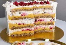 Plazmolina torta – savršena kombinacija vanilije, malina i plazma keksa Plazmolina torta – savršena kombinacija vanilije, malina i plazma keksa