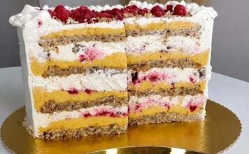 Plazmolina torta – savršena kombinacija vanilije, malina i plazma keksa Plazmolina torta – savršena kombinacija vanilije, malina i plazma keksa