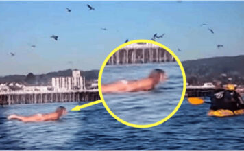 Snimala je svoju kćerku na plaži, ali nije ni slutila šta će se desiti narednih sekundi! Snimala je svoju kćerku na plaži, ali nije ni slutila šta će se desiti narednih sekundi!