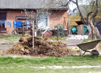 Šta neuredno dvorište govori o vlasnicima Prvi pogled na kapiju često otkriva o kakvoj se porodici radi Šta neuredno dvorište govori o vlasnicima Prvi pogled na kapiju često otkriva o kakvoj se porodici radi