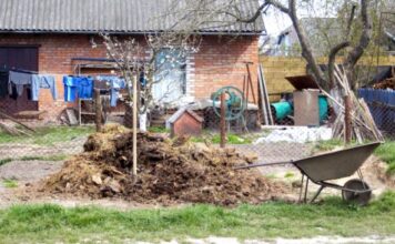 Šta neuredno dvorište govori o vlasnicima Prvi pogled na kapiju često otkriva o kakvoj se porodici radi Šta neuredno dvorište govori o vlasnicima Prvi pogled na kapiju često otkriva o kakvoj se porodici radi