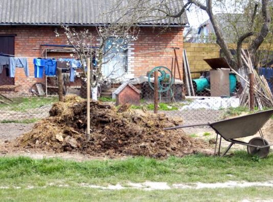 Šta neuredno dvorište govori o vlasnicima Prvi pogled na kapiju često otkriva o kakvoj se porodici radi Šta neuredno dvorište govori o vlasnicima Prvi pogled na kapiju često otkriva o kakvoj se porodici radi