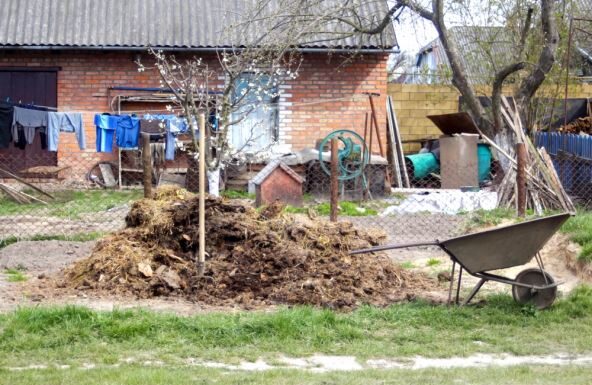 Šta neuredno dvorište govori o vlasnicima Prvi pogled na kapiju često otkriva o kakvoj se porodici radi Šta neuredno dvorište govori o vlasnicima Prvi pogled na kapiju često otkriva o kakvoj se porodici radi