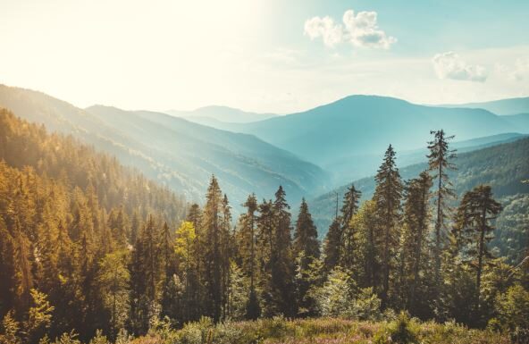 Uzela je pasoš jutra kada je nestala i zaputila se na planinu, gde joj se gubi svaki trag: Kada je propustila let, digla se uzbuna, a poslednja poruka proganja Uzela je pasoš jutra kada je nestala i zaputila se na planinu, gde joj se gubi svaki trag: Kada je propustila let, digla se uzbuna, a poslednja poruka proganja