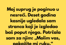 Deset godina nakon što je moj suprug preminuo, šetala sam gradom kada sam ugledala muškarca koji je toliko ličio na njega da sam se zaustavila nasred ulice. Nije to bilo samo lice. Deset godina nakon što je moj suprug preminuo, šetala sam gradom kada sam ugledala muškarca koji je toliko ličio na njega da sam se zaustavila nasred ulice. Nije to bilo samo lice.