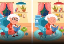 Imate li OKO SOKOLOVO? Slike imaju čak 10 razlika – možete li sve da ih pronađete? Imate li OKO SOKOLOVO? Slike imaju čak 10 razlika – možete li sve da ih pronađete?