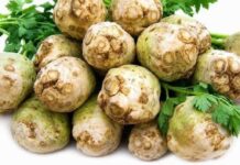 Izbacite MOKRAĆNU KISELINU iz tijela i IZLIJEČITE GIHT: 3 narodna lijeka koja provjereno djeluju Izbacite MOKRAĆNU KISELINU iz tijela i IZLIJEČITE GIHT: 3 narodna lijeka koja provjereno djeluju