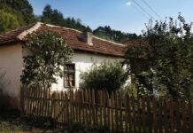 Jedna djevojčica je svaki dan nosila mlijeko usamljenoj udovici. Kada je žena umrla, selo je saznalo da joj nije ostavila novac nego nešto mnogo vrjednije Jedna djevojčica je svaki dan nosila mlijeko usamljenoj udovici. Kada je žena umrla, selo je saznalo da joj nije ostavila novac nego nešto mnogo vrjednije