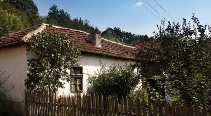 Jedna djevojčica je svaki dan nosila mlijeko usamljenoj udovici. Kada je žena umrla, selo je saznalo da joj nije ostavila novac nego nešto mnogo vrjednije Jedna djevojčica je svaki dan nosila mlijeko usamljenoj udovici. Kada je žena umrla, selo je saznalo da joj nije ostavila novac nego nešto mnogo vrjednije