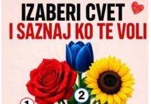 Koji cvet biraš? Pogledajte prvi komentar da vidite ko te voli 👀