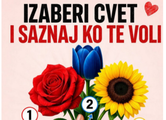 Koji cvet biraš? Pogledajte prvi komentar da vidite ko te voli 👀