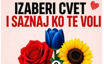 Koji cvet biraš? Pogledajte prvi komentar da vidite ko te voli 👀