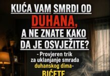 KUĆA VAM SMRDI NA DUVAN? Ova 3 jednostavna trika mogu pomoći da ponovo miriše sveže KUĆA VAM SMRDI NA DUVAN? Ova 3 jednostavna trika mogu pomoći da ponovo miriše sveže