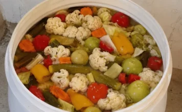 Najbolja šarena turšija iz bureta – puna ukusa, boja i savršeno hrskava! Najbolja šarena turšija iz bureta – puna ukusa, boja i savršeno hrskava!