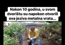 Nakon 10 godina, u svom dvorištu su napokon otvorili ova jeziva metalna vrata… Nakon 10 godina, u svom dvorištu su napokon otvorili ova jeziva metalna vrata…