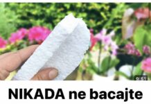 Nikada ne bacajte ostatke stiropora! Njegova vrijednost je jednaka težini zlata! Nikada ne bacajte ostatke stiropora! Njegova vrijednost je jednaka težini zlata!