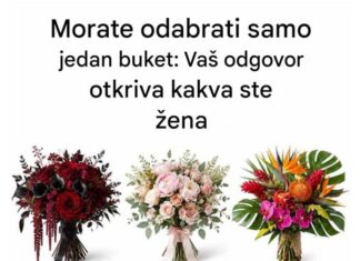 Odaberite jedan buket cvijeća: Ono što prvo privuče vašu pažnju može otkriti nešto zanimljivo o vašoj ličnosti Odaberite jedan buket cvijeća: Ono što prvo privuče vašu pažnju može otkriti nešto zanimljivo o vašoj ličnosti