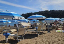 Pakao na crnogorskom primorju: Turisti besni pakuju kofere i prekidaju odmor, u špicu sezone se ovo dešava… Pakao na crnogorskom primorju: Turisti besni pakuju kofere i prekidaju odmor, u špicu sezone se ovo dešava…