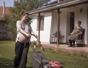 Pokosila sam travu 82-godišnjoj udovici iz susjedstva; sljedećeg jutra sudski izvršitelj pokucao je na moja vrata sa zahtjevom od kojeg mi se sledila krv u žilama. Pokosila sam travu 82-godišnjoj udovici iz susjedstva; sljedećeg jutra sudski izvršitelj pokucao je na moja vrata sa zahtjevom od kojeg mi se sledila krv u žilama.