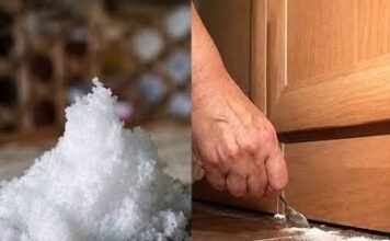 POSIPATE LI I VI SO PO KUĆI: Ukoliko niste TREBATE POČETI, evo čemu služi i koliko je korisno! POSIPATE LI I VI SO PO KUĆI: Ukoliko niste TREBATE POČETI, evo čemu služi i koliko je korisno!