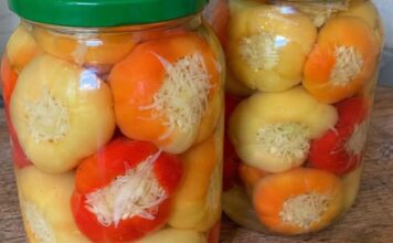 Somborke punjene kupusom – stari recept za zimnicu koji nestane prije zime! Somborke punjene kupusom – stari recept za zimnicu koji nestane prije zime!
