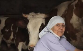 Stana je prodala jedinu kravu i dala komšiji pare da studira: Smatrali je ludom u selu, Milan je nije obilazio, nakon 10 godina usledio zapanjujući obrt Stana je prodala jedinu kravu i dala komšiji pare da studira: Smatrali je ludom u selu, Milan je nije obilazio, nakon 10 godina usledio zapanjujući obrt